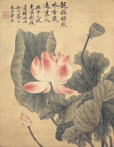Peonies by Shouping Yun